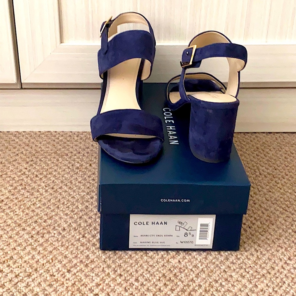 Cole Haan Navy Blue Sandals Only Worn Once